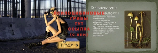 хмурый Абинск