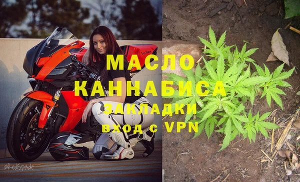 дмт Алексин