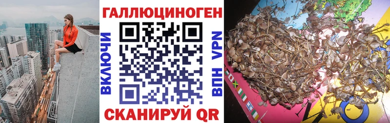 Псилоцибиновые грибы GOLDEN TEACHER  Микунь 